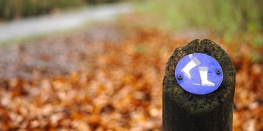 Route netwerken routenetwerken