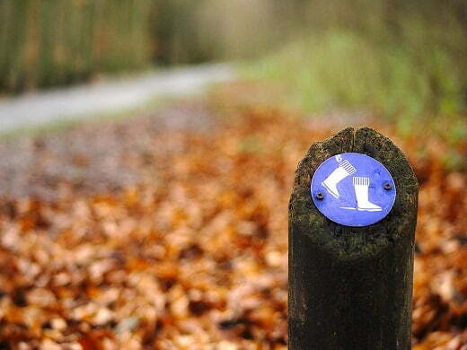 Route netwerken routenetwerken