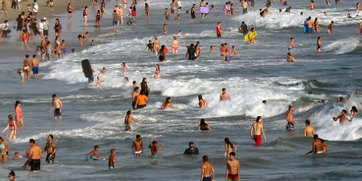 adviesveere Advies Veere