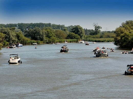 biesbosch biesbosch