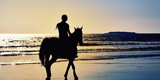 Paardensport routes provincie onderzoek