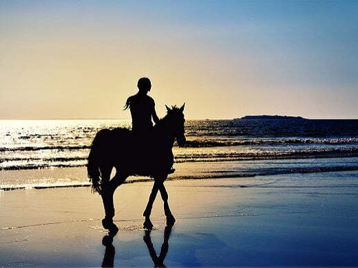 Paardensport Paardensport routes provincie onderzoek