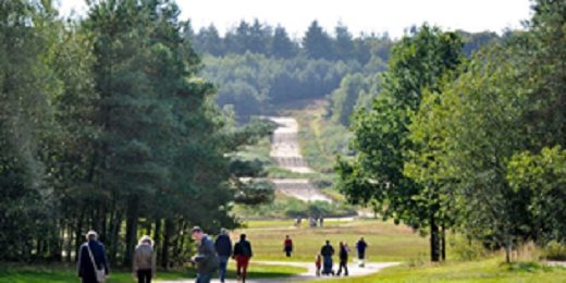 Visie recreatie toerisme rhenen