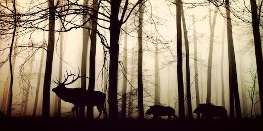 Epe toeristisch profiel