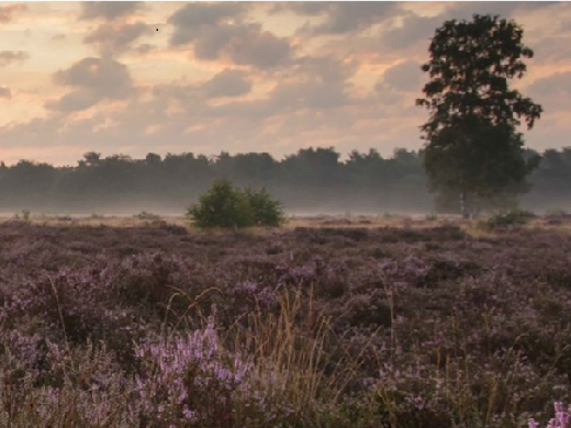 toeristische visie landerd