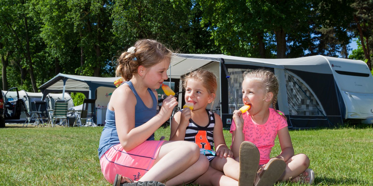 WebsiteHomepagina_Camping Beringerzand_01 Vitaliteit