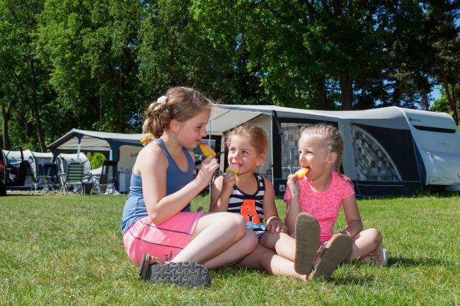 WebsiteHomepagina_Camping Beringerzand_01 Vitaliteit