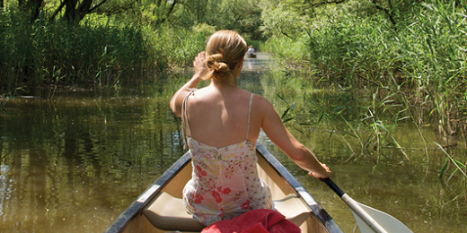 biesbosch ondernemer gezocht
