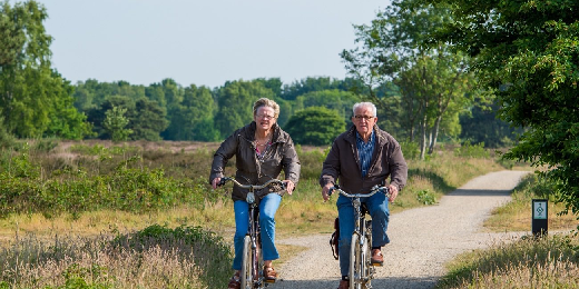 monitor vrijetijdseconomie gemeente ermelo