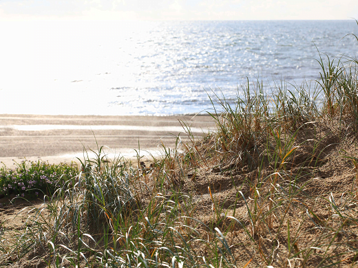 impulszeeland impuls zeeland