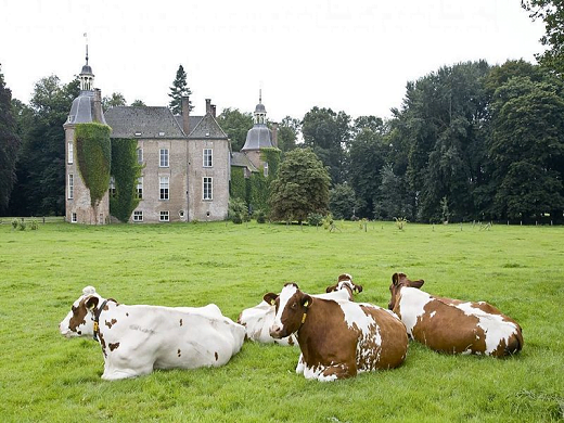kasteelhackfort Visie Bronckhorst
