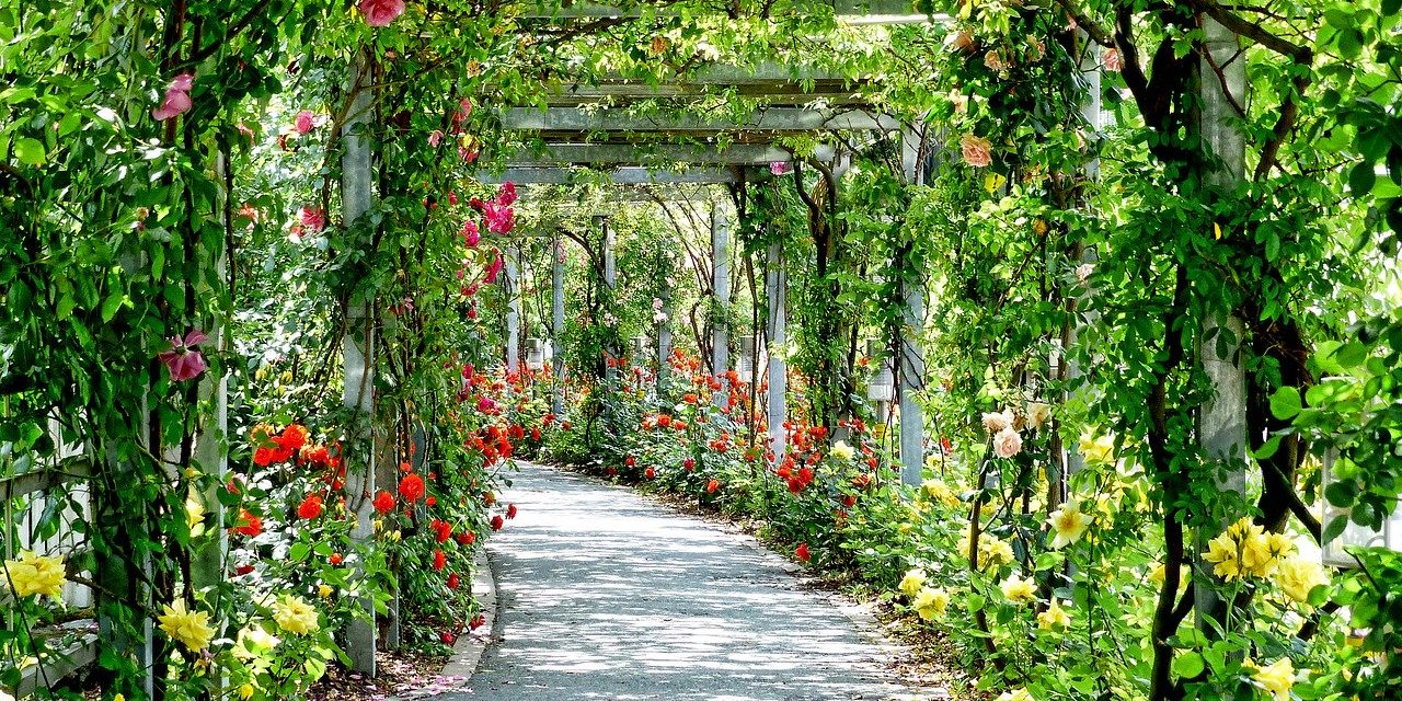 park-3112055_1280 Gebiedsontwikkeling