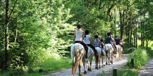 visie recreatie en toerisme pijnacker nootdorp visie recreatie en toerisme pijnacker nootdorp