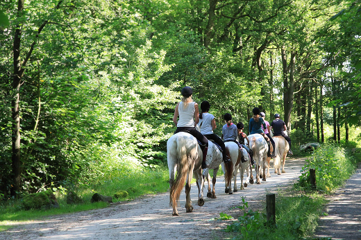 visie recreatie en toerisme pijnacker nootdorp