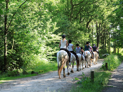 visie recreatie en toerisme pijnacker nootdorp