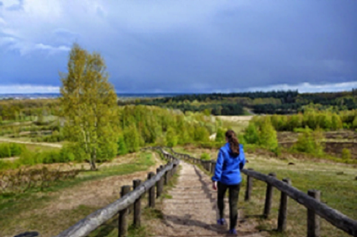 Rhenen