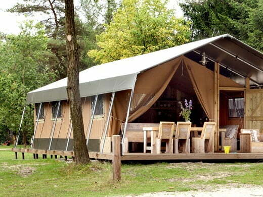 vitaliteit veluwe
