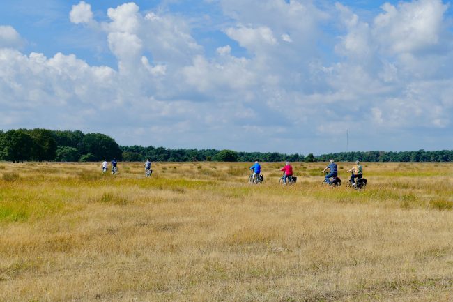 Foto artikel 4 – drukte in de natuur