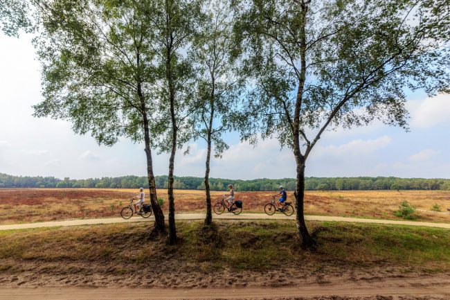 Veluwe 2