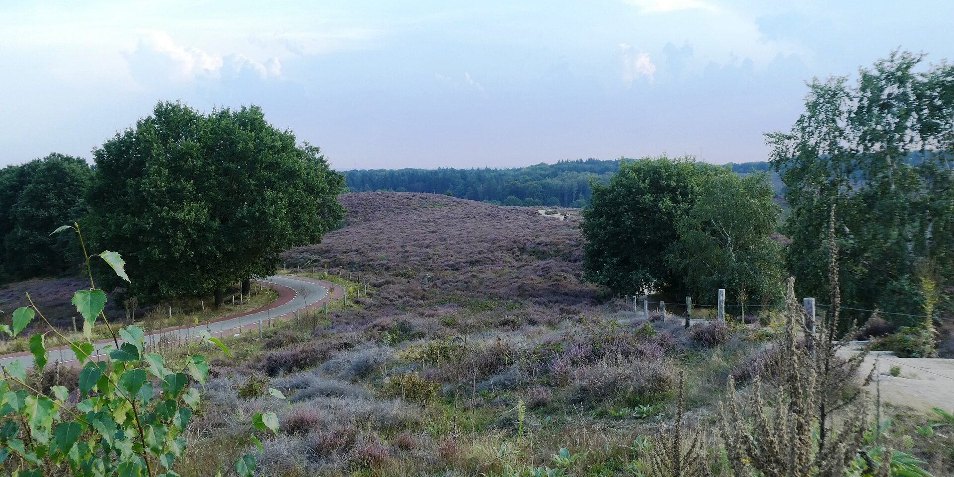 Artikel 6 – Arnhem Nijmegen