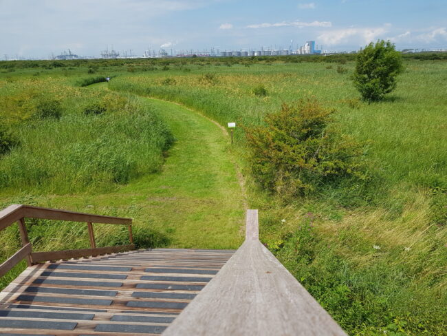Voorne-Putten Zuidhollandse Delta