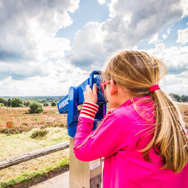 Artikel 3_MO_1-8828-scaled-aspect-ratio-40-40-scaled