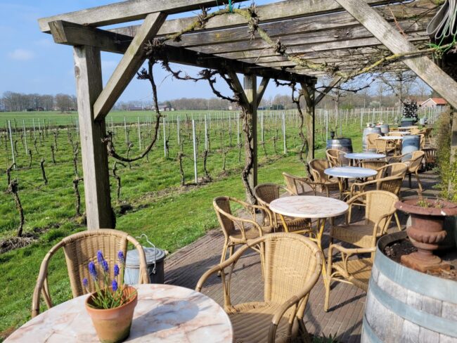 Achterhoek vitaliteitsonderzoek