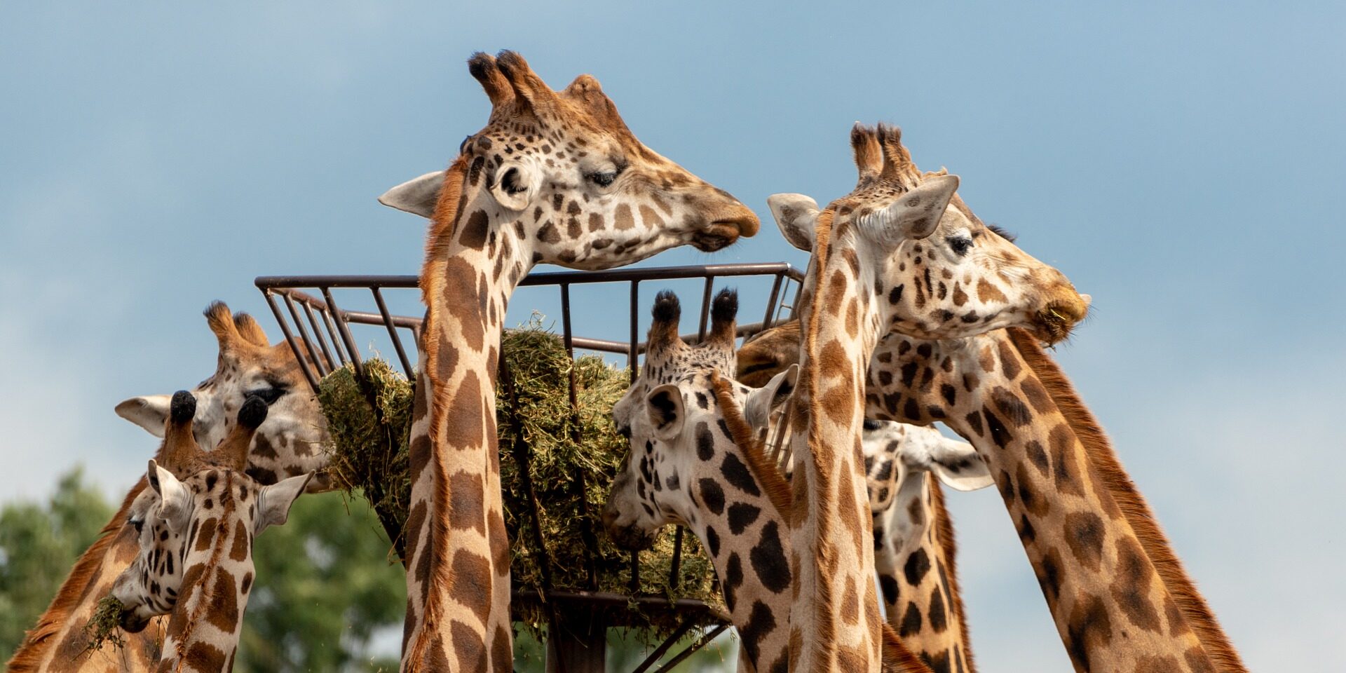 Hilvarenbeek beleidslijn marketingstrategie toerisme recreatie