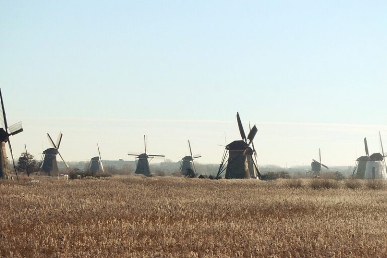 Beleidsnota gemeente Molenlanden