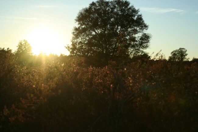 hidde-joustra-l_Qle8zG-DI-unsplash