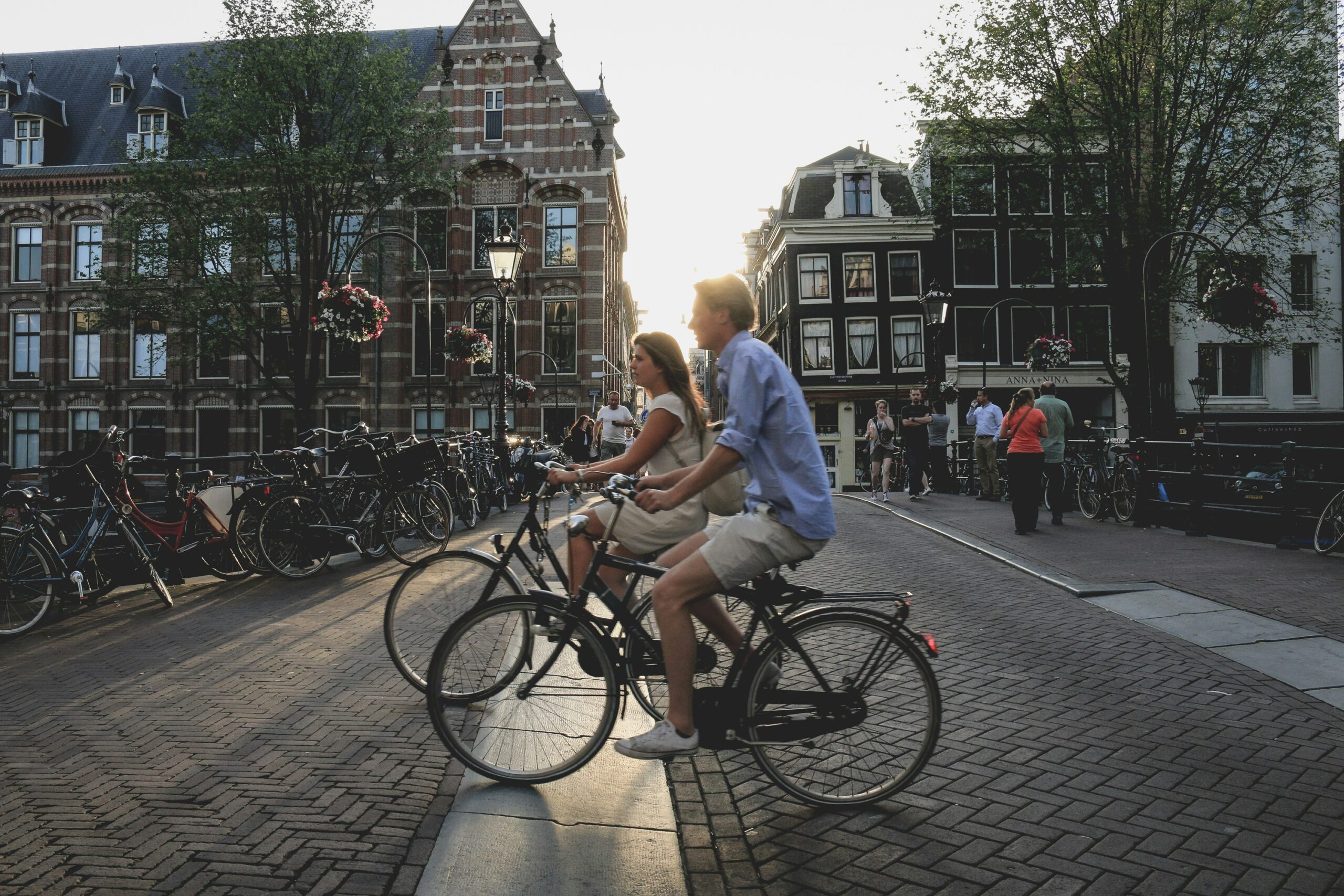 Domein markt en consument
